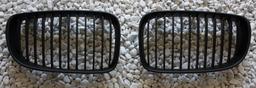 Black grille BMW E82 1-series Coupe