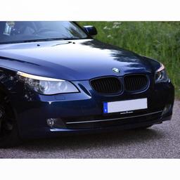 Black kidneys BMW E60/61