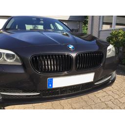 Blanke, sorte nyrer BMW F10 F11