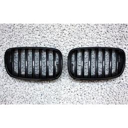 Carbon fiber kidneys BMW X6
