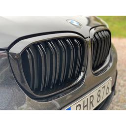 BMW X3/X4 Glossy Black Kidney Grille