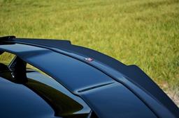 Spoiler wing Mercedes W176 AMG