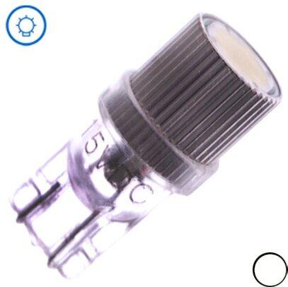 T10 24V ca. 7-8W