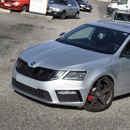 Honeycombgrill Skoda Octavia III RS