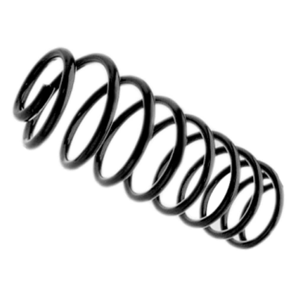 Coil spring rear