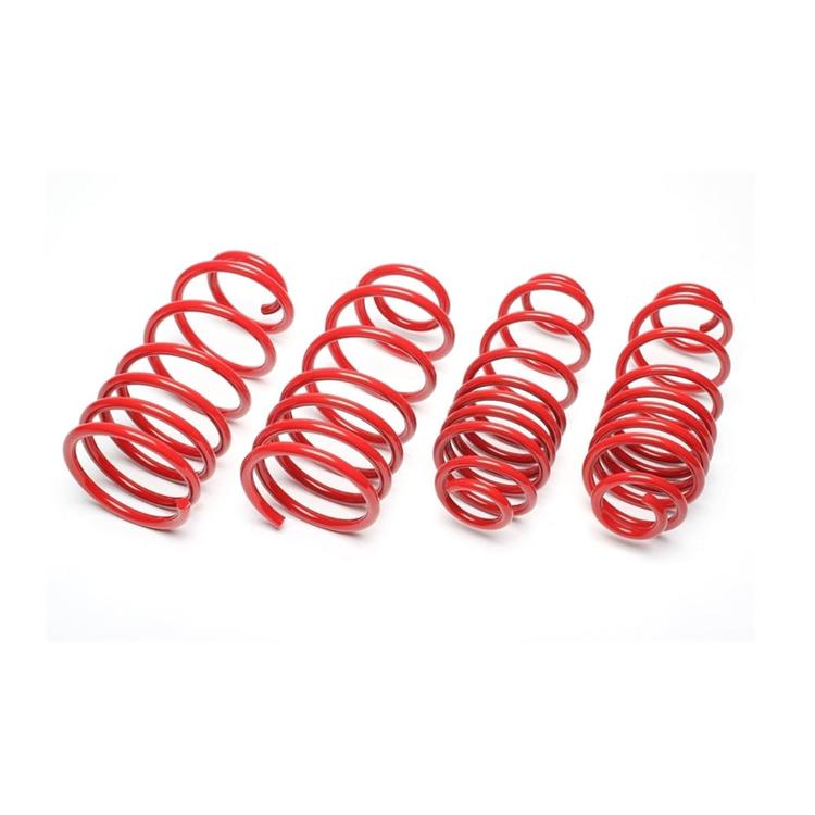 Lowering Springs BMW 3-Series Touring