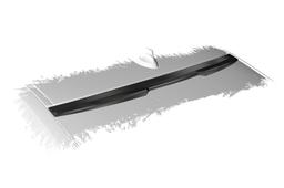 Roof wing BMW 2-Series (F22)