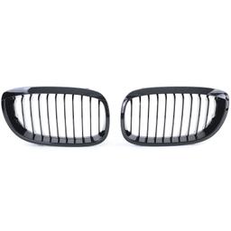 Blanksvarta njurar (grill) BMW E46 2003-2007