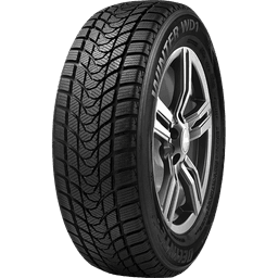 Delinte WD1 165 70 14 vinterdäck