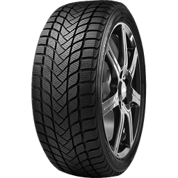 Delinte WD6 185 60 15 vinterdäck