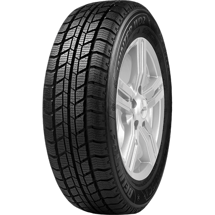 Delinte WD2 205 65 16 vinterdäck
