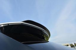 Maxton Design Siipi Lexus RX MK4