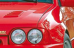 Rieger skærm Ford Escort 4 - 2