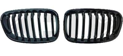 Kiiltävän mustat munuaiset Bmw F20