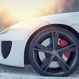 Gripmax SureGrip Pro Winter