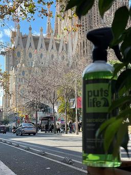 Puts Life Interior Barcelona
