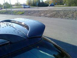 Vinge ´Hirsch´ Look