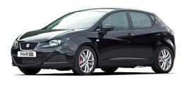H&R lowering springs Seat Ibiza 6J 08-