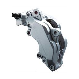 Bromsoksfärg Silver