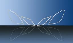 Chrome edgelists to headlights - Mercedes Benz C207