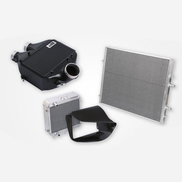 Bigpack BMW F8X M3 M4