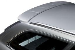 Spoiler Wing Audi A6 4F Avant