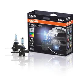 Lampor LED H10 Dimljus - Osram