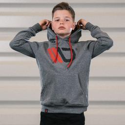 Maxton Hoodie Gray