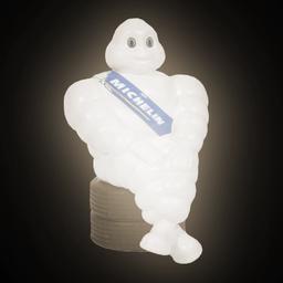 Lilla Michelin-Paketet