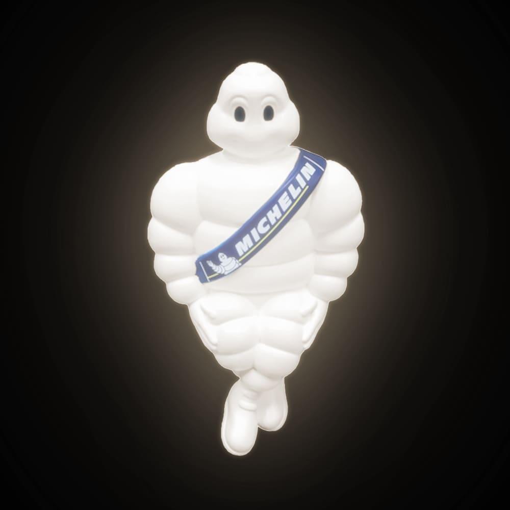 Stort Michelin-Paket