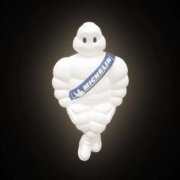 Stort Michelin-Paket