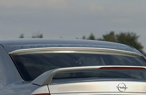 Bagrudespoiler Rieger