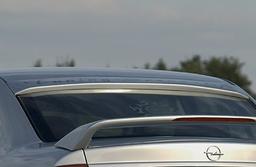 Bagrudespoiler Rieger