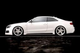 Sidokjolar Rieger Tuning