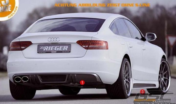 Bakdel Nedre Rieger (innsats)