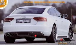 Bakdel Nedre Rieger (innsats)