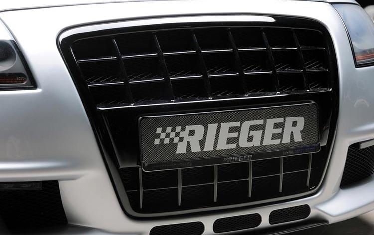 Grill Single frame Rieger