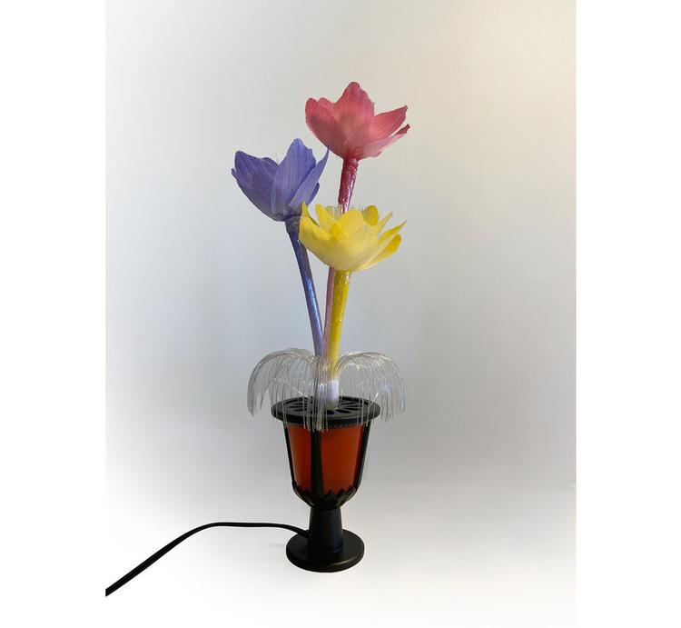 Quintezz Valaistu Kukka