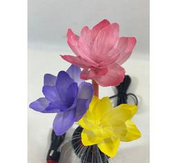 Quintezz Valaistu Kukka