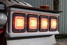 Bakljushållare med plats för 4 st IZE LED-lights, levereras parvis.