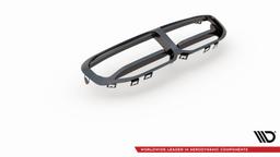 Maxton Design Grille Carbon BMW 1-serie F40 M-pack / M135I