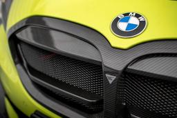 Maxton Design Grille Carbon BMW 1-serie F40 M-pack / M135I