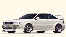 Rieger skærm Audi 80 Type 89/Audi 90 Type 89