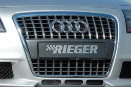 Rieger stylingdetalj carbon-look Audi A3 (8P)/Audi A4 (8H)/Audi TT (8N) 2002–> - 2