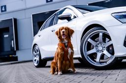 JR Wheels SL-03 Silver aluminiumfälg monterade på bil i stämnigsfull miljö
